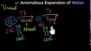 Electron Transport System  Photophosphorylation  Photolysis of Water [upl. by Adnilim285]