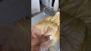 “Toning 613 Hair From Bright Blonde to Perfect Scalp Like Tones StepbyStep Transformation” [upl. by Sanoy496]