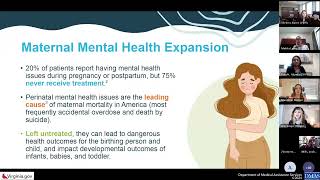 Maternal Mental Health Lunch and Learn May 29 2024 [upl. by Nylatsyrc]