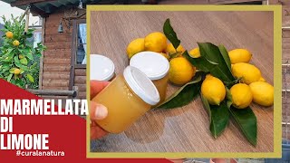 Marmellata di Limoni In Soli 20 MINUTI [upl. by Amice458]