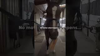 Horsey girls are the toughest women on the planet equestrian [upl. by Nolak]