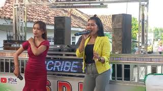 SEMEBYAR COVER SINDI CICI SDL  MELET MELETOT SDL [upl. by Aloeda3]