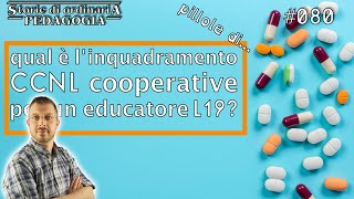 Livello CCNL L19  pillole di pedagogia 080 [upl. by Etty]