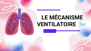 PHYSIOLOGIE HUMAINE  LE MÉCANISME VENTILATOIRE 🌬️🫁 [upl. by Jasmin716]