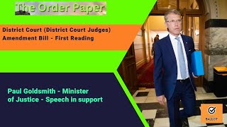 Paul Goldsmith  District Court District Court Judges Amendment Bill  First Reading [upl. by Aielam412]