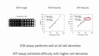 Rethinking Research  How to Use the InCell Western Assay [upl. by Atsirtal]