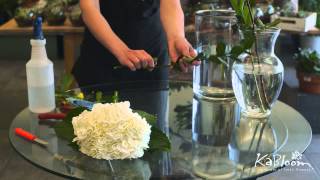 KaBloom How to Prep and Maintain Flowers [upl. by Adriano]