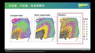 【陈巍学基因】解读人脑空间转录组论文 [upl. by Yderf]