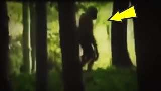 5 Humanoids Caught On Camera amp Spotted In Real Life [upl. by Anivla445]