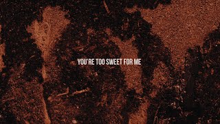 Hozier  Too Sweet Official Lyric Video [upl. by Conway]