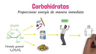 Carbohidratos Biomoléculas [upl. by Anole]