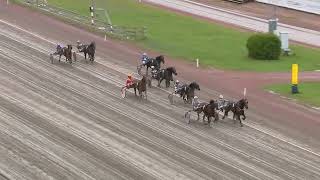 Åbytravet 2024 10 29 Lopp 6 [upl. by Nnaik435]