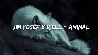 Jim Yosef x Riell  Animal Lyrics [upl. by Ahtnahc]