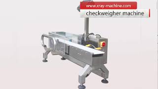 Inline Checkweigher Machine Conveyor Scale China [upl. by Nelli460]