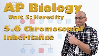 AP Bio Unit 5  56  Chromosomal Inheritance [upl. by Emyam530]