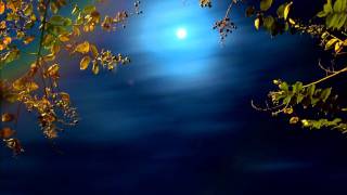 Song to the Moon from Rusalka by Dvorak Sung in English by Yvonne Kenny [upl. by Leik]