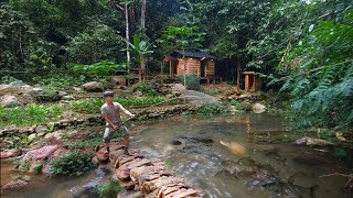 2 years living in forest build pond raise school of carp Harvesting amp catching fish after 1 year [upl. by Norod]