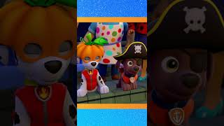 ¡PAW Patrol investiga un barco fantasma shorts [upl. by Sahc]