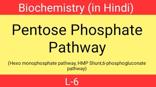 Pentose phosphate pathway in hindi  L6  Hexo monophosphate pathway  Biochemistry 2nd sem  HMP [upl. by Baumann]