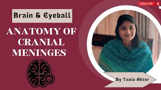 Anatomy of Cranial Meninges  Bangla Demonstration of Cranial Meninges  Viscera of Meninges [upl. by Ahsien]