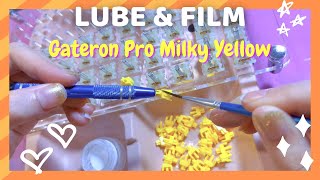 How to lube amp film switches  ft Gateron Pro Milky Yellow [upl. by Malone]