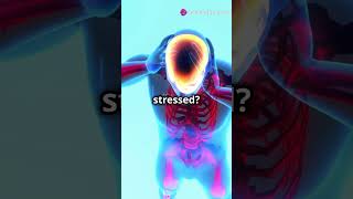 Neurotransmitters effect mood nervoussystem knowyourbody fitnessmotivation facts bodysystem [upl. by Yerkovich]