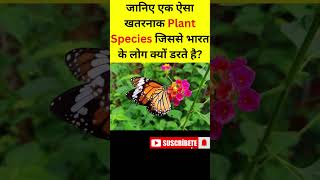 How Lantana Camara Harms Animals and Plant An Invasive Species Exposed hindi facts lantanacamara [upl. by Dloraj700]