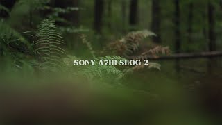 ZEISS SONY 55 f18  The best cinematic lens for SONY A7III  SLOG 2 Profile 4K 24fps [upl. by Elisha]