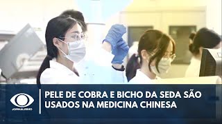 Medicina tradicional chinesa utiliza ervas e bichos entenda [upl. by Holt]