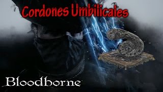 BloodBorne  Coop Explained and How to Connect with Friends [upl. by Oiromed488]