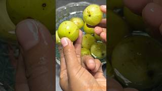 Amla Murabbaamla recipeshorts viralyoutubeshorts video [upl. by Dronski]