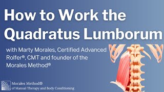 How to Work the Quadratus Lumborum [upl. by Schurman965]