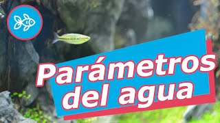 PARÁMETROS del AGUA · Cómo MEDIR y CONTROLAR los NIVELES 💧 [upl. by Nilorac]