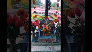 কে বলতে পারো কোন বাসে আছে  reels shorts karimpur sagarpara lordganesha জয় শ্রী গণেশায় নমঃ 🙏 [upl. by Akel]