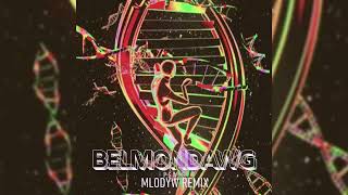 Belmondawg  PSWIS MLODYW REMIX [upl. by Aizirk]