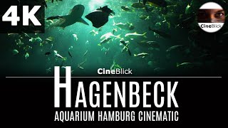 Hagenbeck Aquarium 4K [upl. by Latsirc]