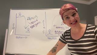 Exergonic Reaction and Endergonic Reaction  BioEnergetics  Organic Chemistry  MSc3rd Sem [upl. by Maurits]