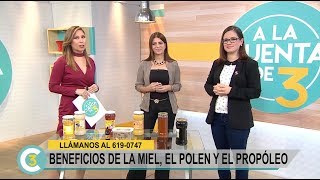 A la Cuenta de 3  Beneficios de la miel el polen y el propóleo  18072017 [upl. by Eadie]