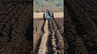 Fordson Dexta at Southwell Ploughing Match  Saturday 9th March 2024 ploughingvideos fordson [upl. by Amyas]