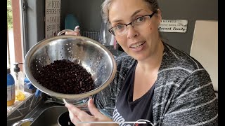 How to cook BLACK BEANS EASY No Soaking Instant Pot  South African YouTuber [upl. by Aisatana]