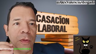 Etapas del Recurso Extraordinario de Casación [upl. by Aicnilav207]