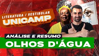 Vestibular UNICAMP  Análise e resumo de Olhos dágua de Conceição Evaristo [upl. by Iline]