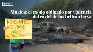 Sinaloa el éxodo obligado por violencia del cártel de los beltrán leyva [upl. by Hepsibah]