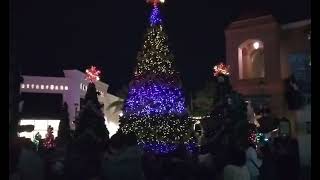 Christmas Decoration  The Shops at Wiregrass  Tampa [upl. by Lundgren]