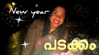 New year പടക്കം and ആഘോഷം  2024  RealityReels  Reethuz [upl. by O'Driscoll917]