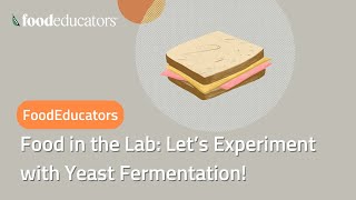 Food in the Lab Let’s Experiment with Yeast Fermentation [upl. by Blayze]