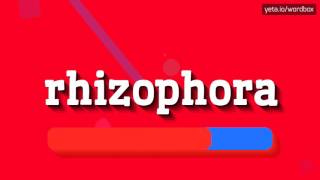 HOW TO SAY RHIZOPHORA [upl. by Rodie]