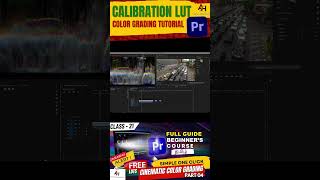 Master Calibration LUTs in Premiere Pro in 60 Seconds 🎨✨ [upl. by Thornburg863]