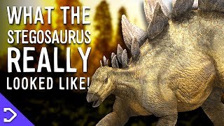 What Did The Stegosaurus Really Look Like [upl. by Euqimod]