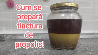 Cum se prepară tinctura de propolis apicultura2023 [upl. by Alegnatal]